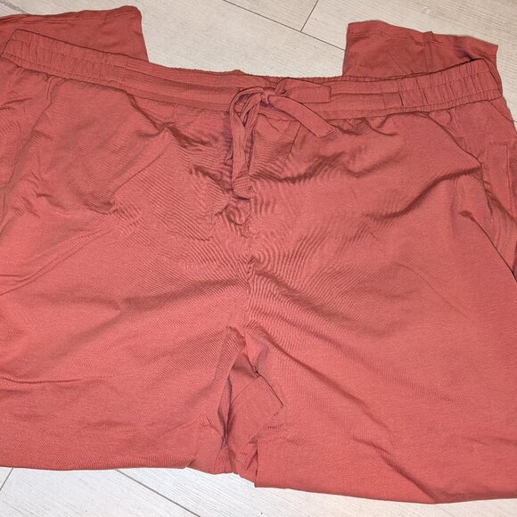 AnyBody Straight Leg Cozy Knit Ankle Pants w/ Curved Hem Drawstring Womens 3X - Picture 4 of 4